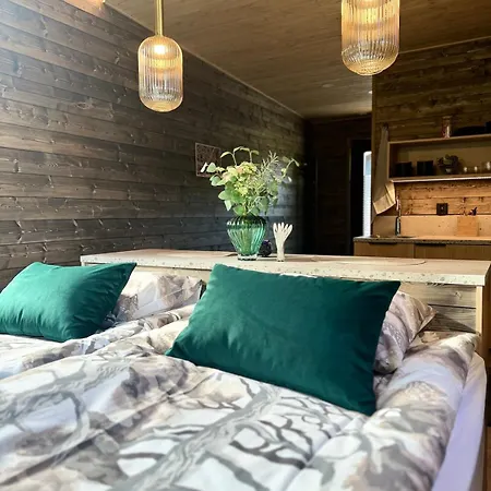 Loft 公寓 罗瓦涅米